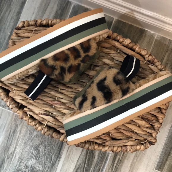 BRAND NEW! Steve Madden Shoes - Picture 5 of 7